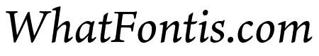 Ten Oldstyle Medium Italic