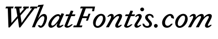 Dapifer MediumItalic