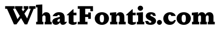 DapiferStencil Black