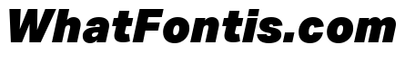 Aktiv Grotesk Ex Black Italic