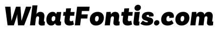 Basic Sans Black It