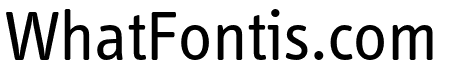 Info Text Pro Regular
