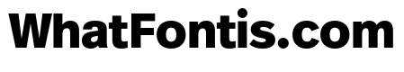 Real Text Pro Black Italic