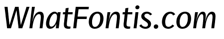 Real Text Pro Extralight Italic