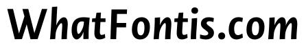 Novel Sans Pro XCmp Bold It