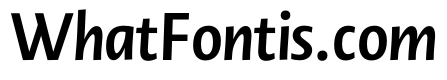 Novel Display XCnd Bold It