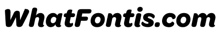 OmnesCyrillic Bold Italic