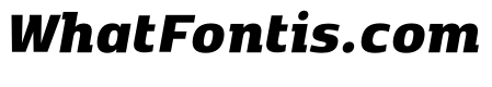 Kobenhavn C Black Italic