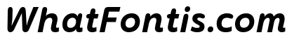 Termtem Bold Italic