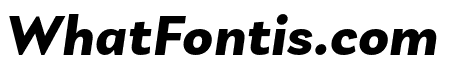 Laca Text Bold Italic