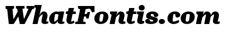 Turnip Black Italic