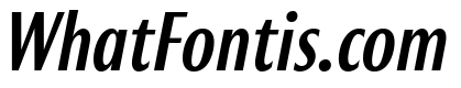 Roxy MediumItalic