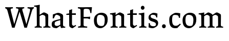 Lapture Display Regular