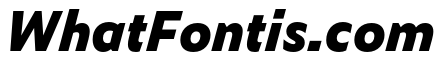 Zeitung Mono Pro Extrabold Italic