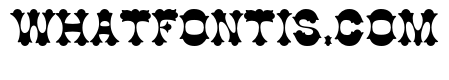 Cottonwood Std Medium