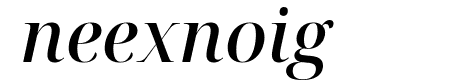 Noto Serif Display Medium Italic