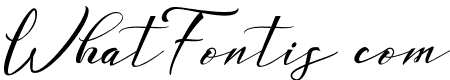 UNIVERSAL SCRIPT Personal Use Regular