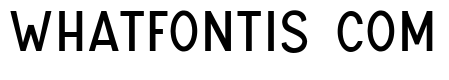 UNIVERSAL SANS PERSONAL USE Regular