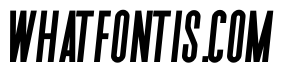 Forever Freedom Italic Regular