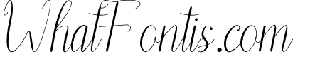 Belynti Script
