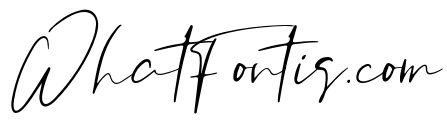 Orchest