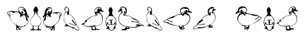 Duck Regular