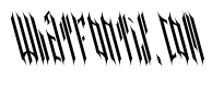 NETHER TYPE BETA 002 Reverse