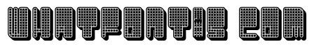 Diversity Extravagant Regular