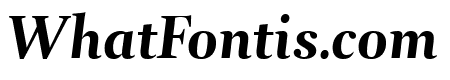 Arnhem Fine Bold Italic