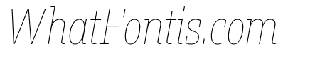 Fakt Slab Condensed Hair Hair Italic