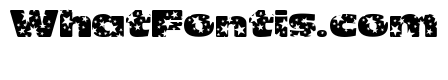OhMyGodStars