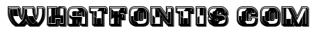 Trader College Regular