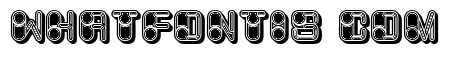 Memory Extravagant Regular