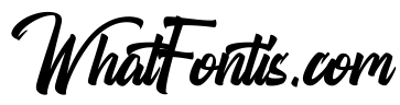 Boomerang Script