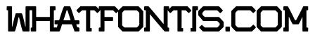 Potorro Angular