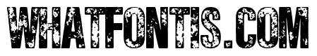 Rough City