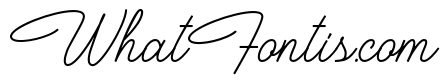 HoustonerScript