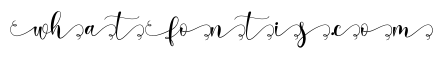 Carlista Stylistic 02