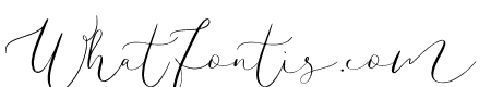 Amelie Signature