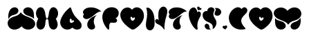 Love You Regular