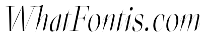 Elegans Italic