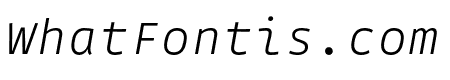 Gintronic Thin Italic