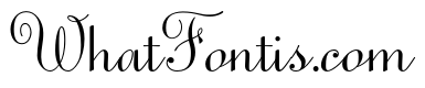 Sweet Upright Script Regular