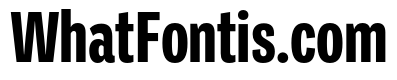 Ballinger X Condensed X Bold