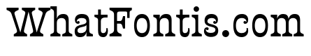 Presley Slab Thin Italic