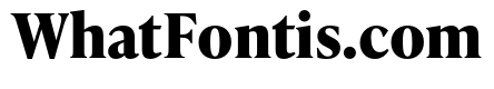 IvyPresto Text Bold