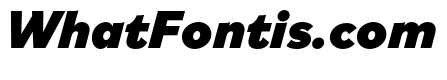 Bilo Black Italic