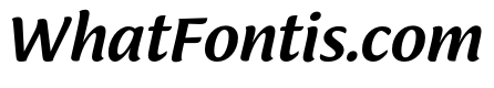 Ciabatta Medium Italic