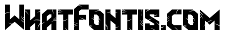 Cakar Monyet Bold