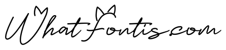 Catlove